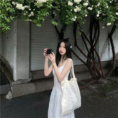 野探哈莉第四季 排行封面